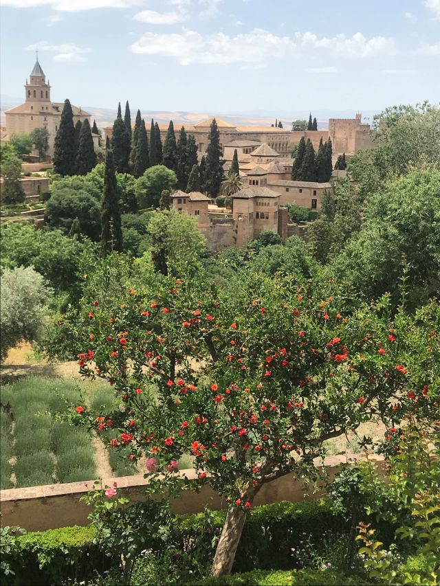 Granada_Alhambra.jpg