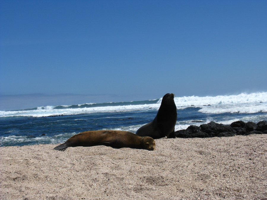 Erfahrungsbericht Freiwilligenarbeit in Ecuador von Anne