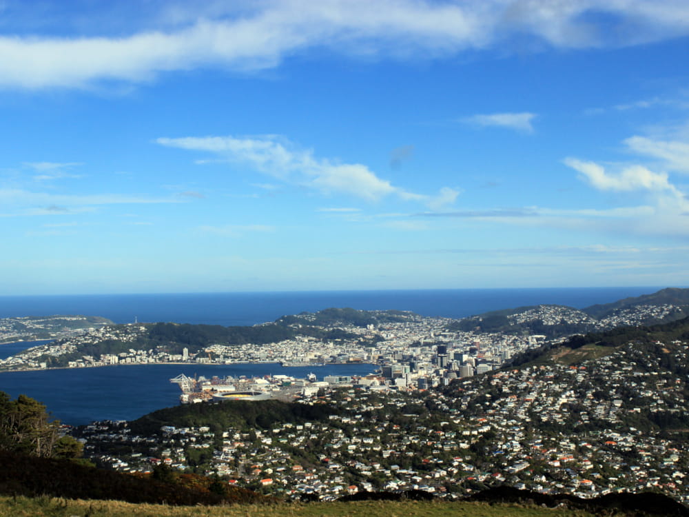 au pair neuseeland Carolin