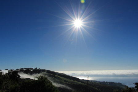 au pair in neuseeland Josephine au-pair-in-neuseeland-jossehpine