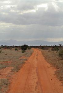 Erfahrungsbericht Volunteer in Kenya vom Imke