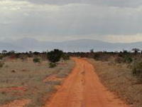 kenia